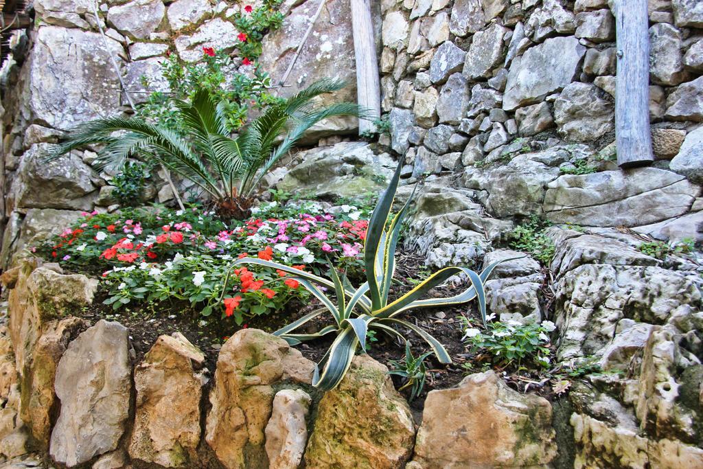 Casarufolo Paradise Sorrento Ngoại thất bức ảnh